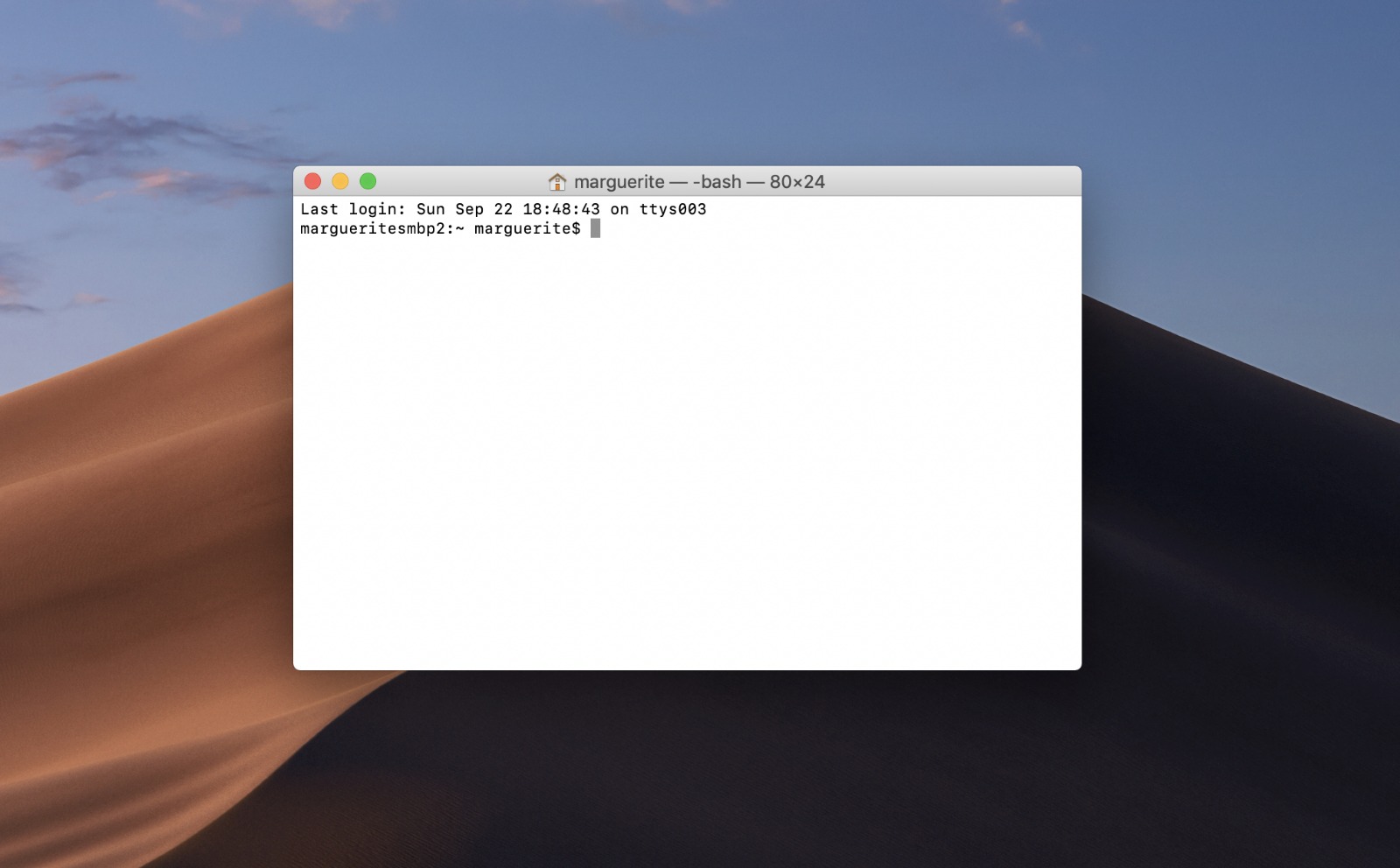 Terminal screenshot