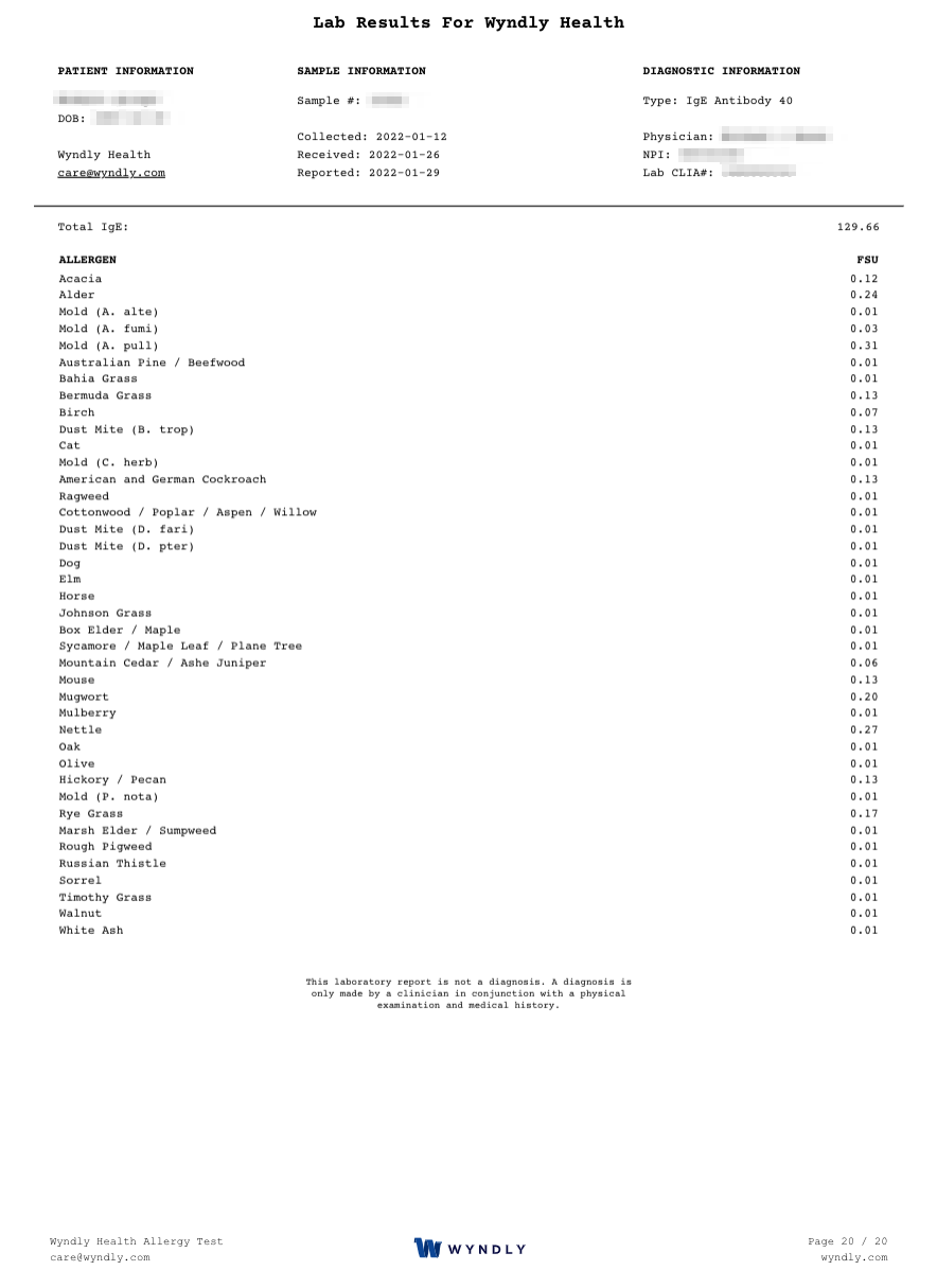 Lab result PDF formatted for medical professionals showing IgE results.