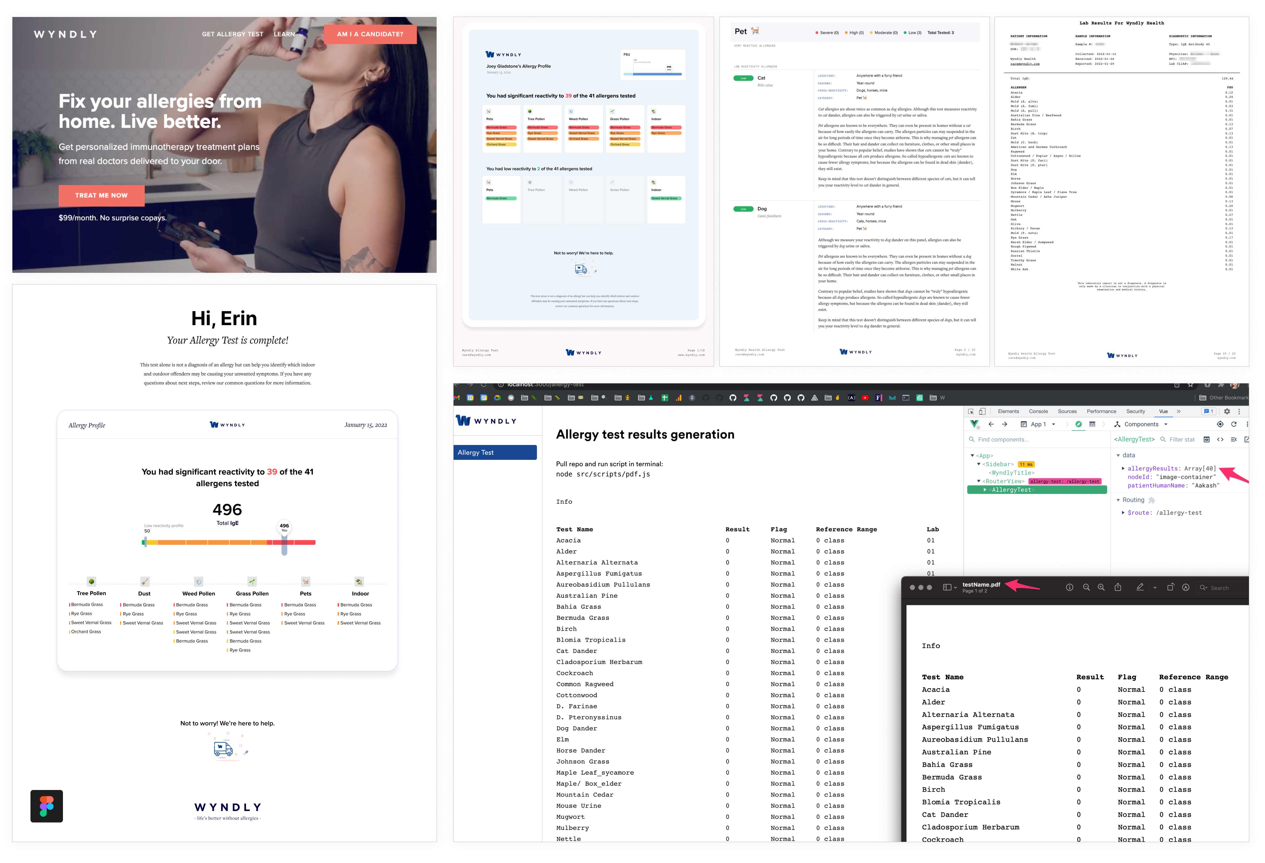 UI collage showing prototypes for allergy tests.